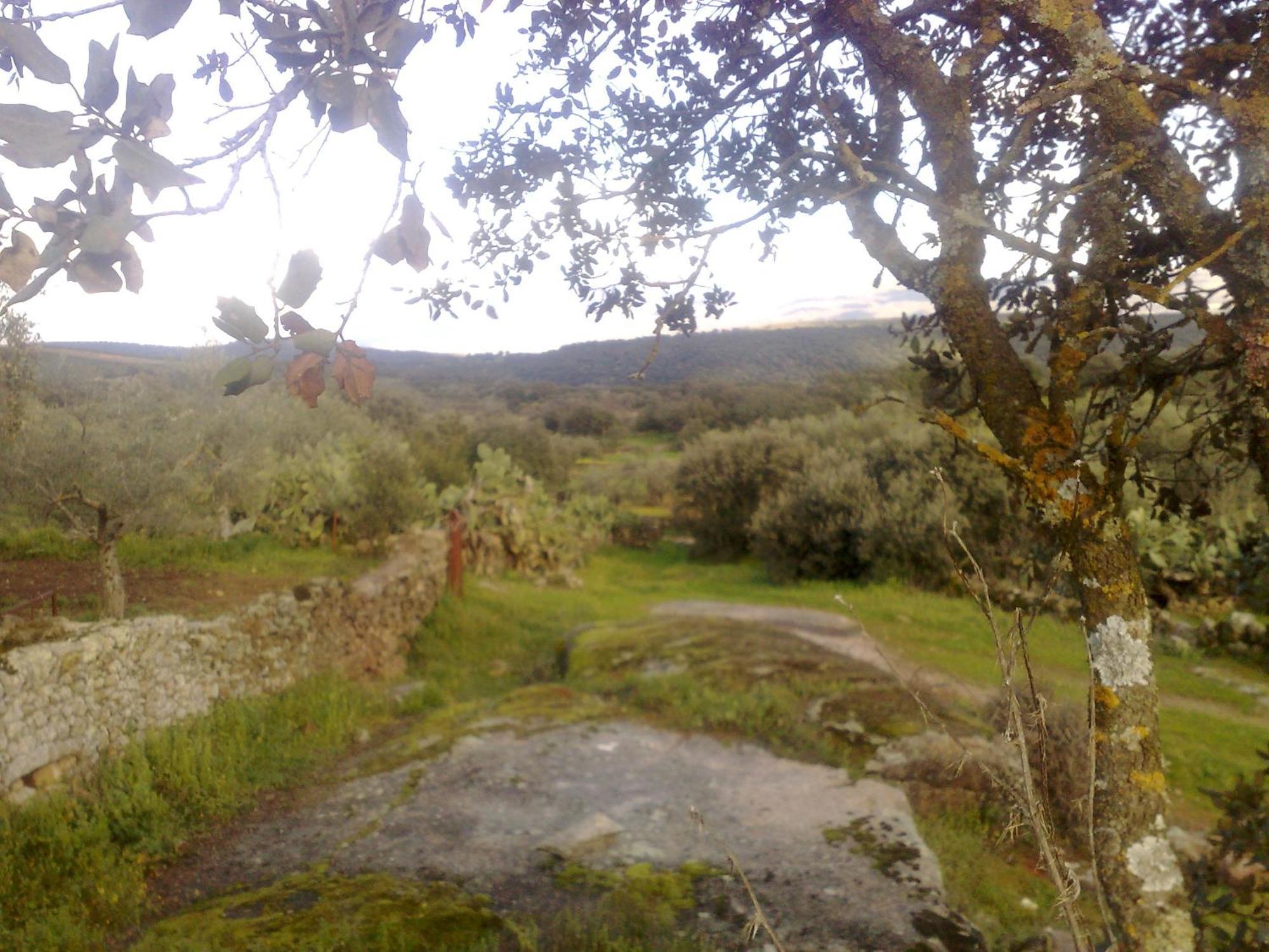 Apartamentos El Jardin Del Poeta Guijo de Granadilla Eksteriør billede