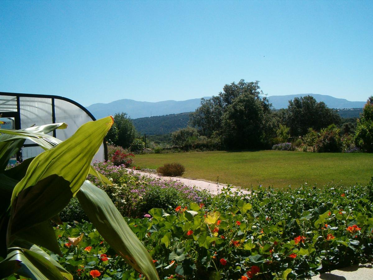 Apartamentos El Jardin Del Poeta Guijo de Granadilla Eksteriør billede