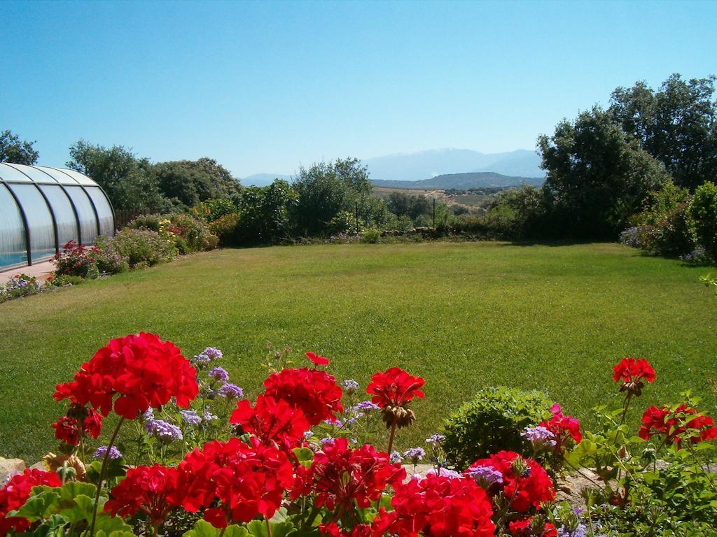 Apartamentos El Jardin Del Poeta Guijo de Granadilla Eksteriør billede